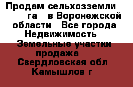 Продам сельхозземли ( 6 000 га ) в Воронежской области - Все города Недвижимость » Земельные участки продажа   . Свердловская обл.,Камышлов г.